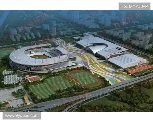 九游体育旗舰网站未来发展规划，持续引领体育娱乐行业新潮流